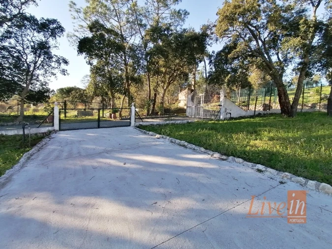 Quinta T14 para Venda em Bucelas Foto 35