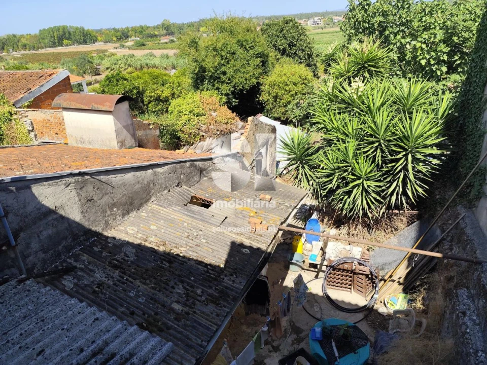 Prédio para Venda em Mealhada, Ventosa do Bairro e Antes Foto 10