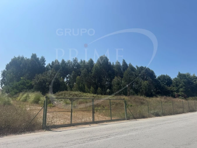 Terreno para Venda em Canidelo Foto 3