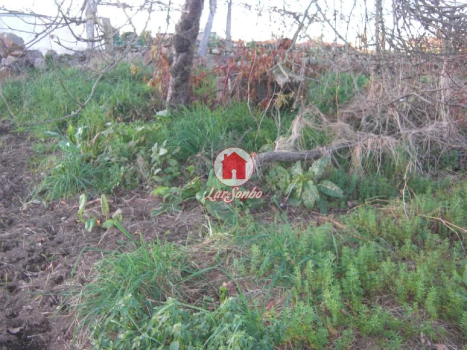 Terreno Agricola ou Rústico para Venda em Bagunte, Ferreiró, Outeiro Maior e Parada Foto 1
