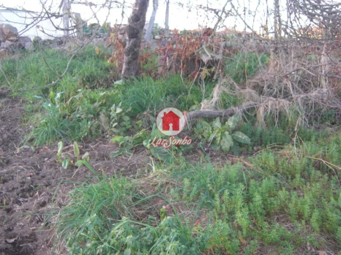 Terreno Agricola ou Rústico para Venda em Bagunte, Ferreiró, Outeiro Maior e Parada Foto 1