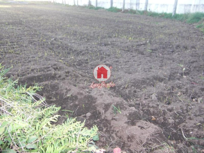 Terreno Agricola ou Rústico para Venda em Bagunte, Ferreiró, Outeiro Maior e Parada Foto 2