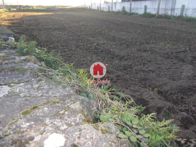 Terreno Agricola ou Rústico para Venda em Bagunte, Ferreiró, Outeiro Maior e Parada Foto 3