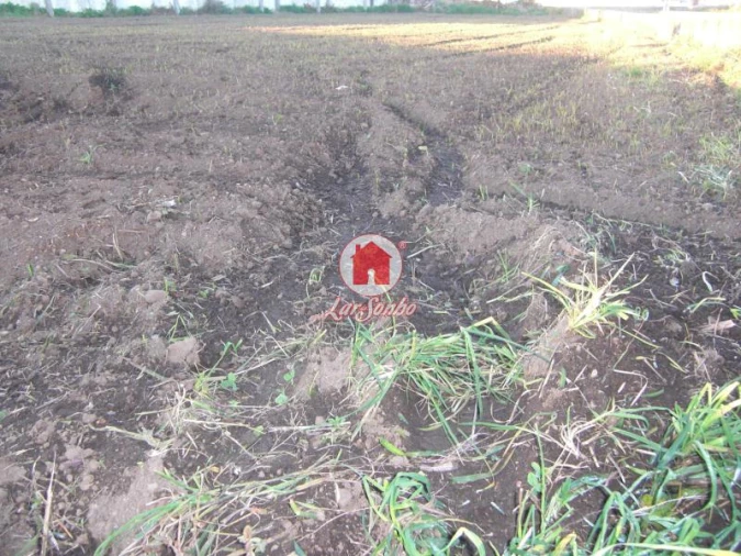 Terreno Agricola ou Rústico para Venda em Bagunte, Ferreiró, Outeiro Maior e Parada Foto 4