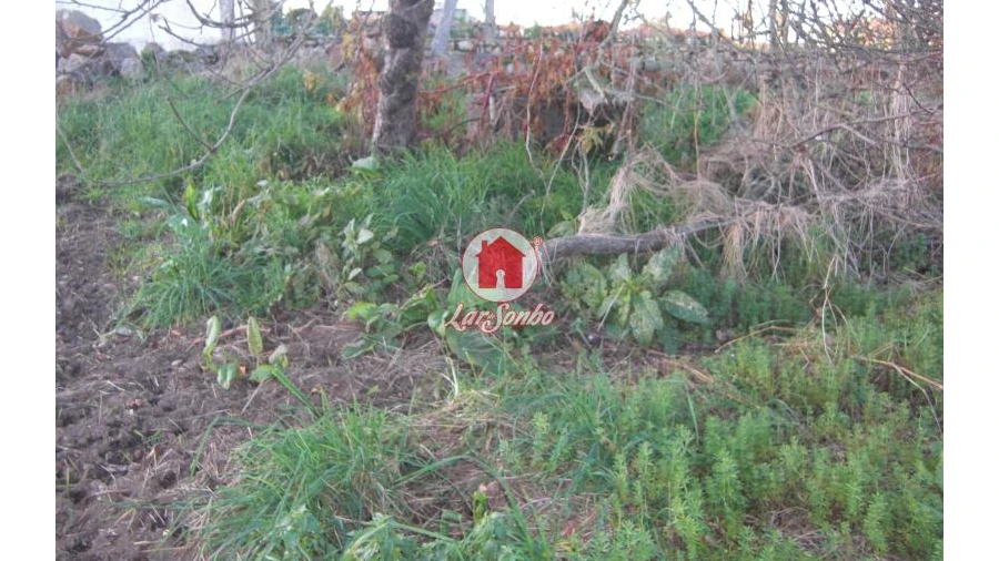 Terreno Agricola ou Rústico para Venda em Bagunte, Ferreiró, Outeiro Maior e Parada