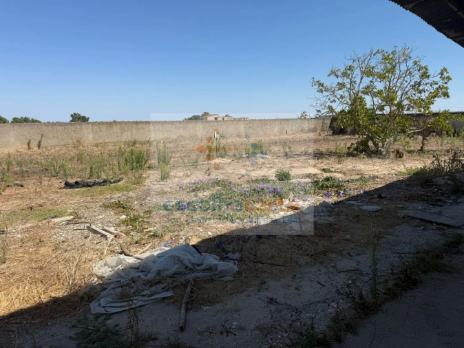 Quinta T2 para Venda em Quinta do Anjo Foto 43
