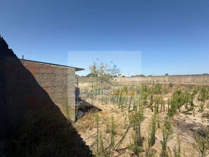 Quinta T2 para Venda em Quinta do Anjo Foto 22