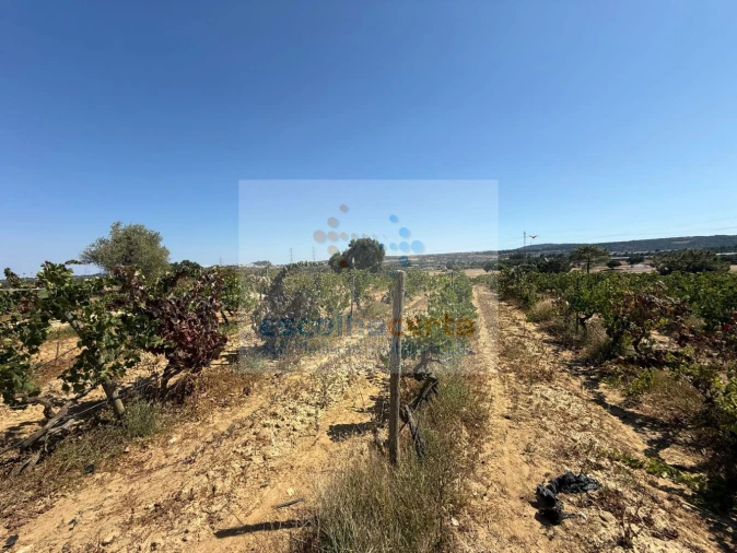 Quinta T2 para Venda em Quinta do Anjo Foto 38