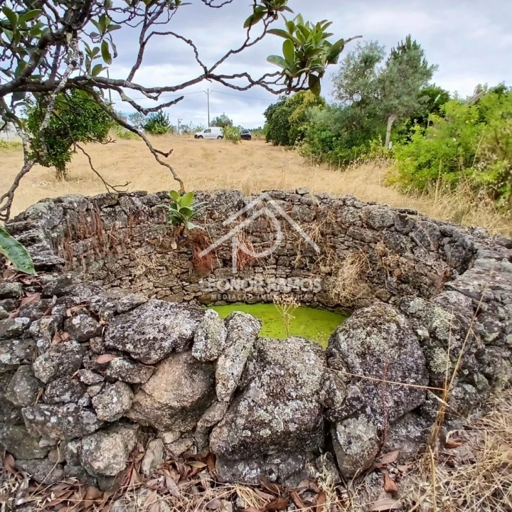 Terreno para Venda em Escalos de Baixo e Mata Foto 1
