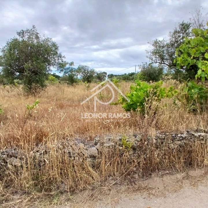 Terreno para Venda em Escalos de Baixo e Mata Foto 12