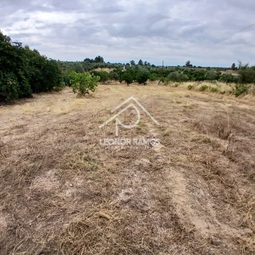 Terreno para Venda em Escalos de Baixo e Mata Foto 11