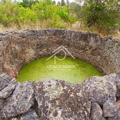 Terreno para Venda em Escalos de Baixo e Mata Foto 2