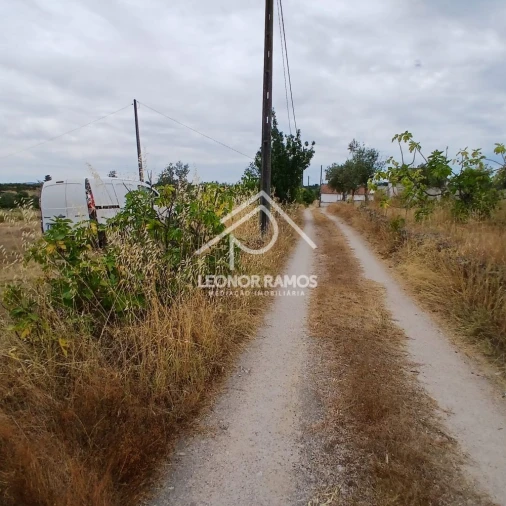 Terreno para Venda em Escalos de Baixo e Mata Foto 15