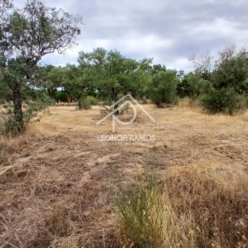 Terreno para Venda em Escalos de Baixo e Mata Foto 17