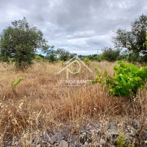 Terreno para Venda em Escalos de Baixo e Mata Foto 13