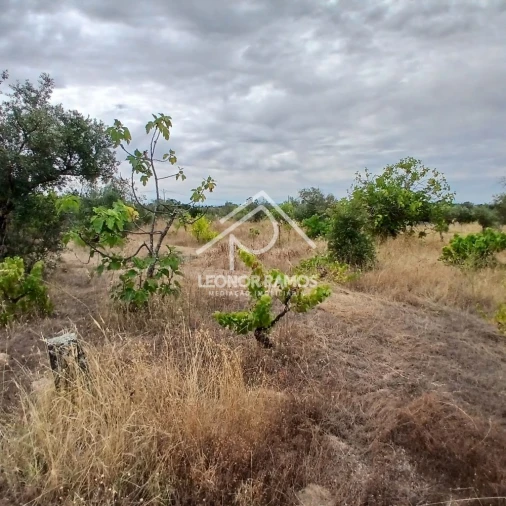 Terreno para Venda em Escalos de Baixo e Mata Foto 16