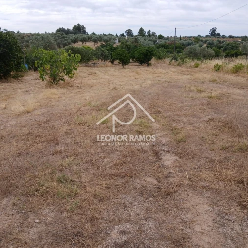Terreno para Venda em Escalos de Baixo e Mata Foto 10