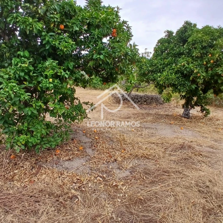 Terreno para Venda em Escalos de Baixo e Mata Foto 9