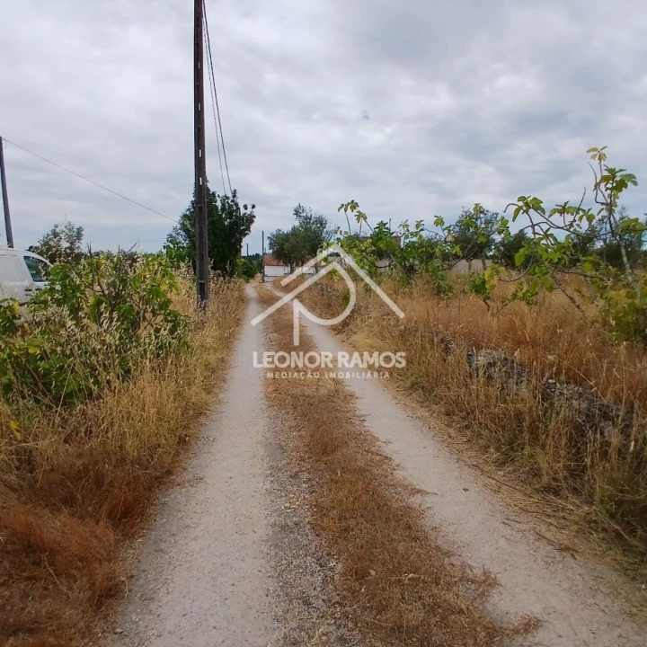 Terreno para Venda em Escalos de Baixo e Mata Foto 14
