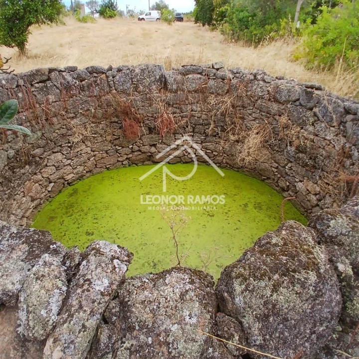 Terreno para Venda em Escalos de Baixo e Mata Foto 5