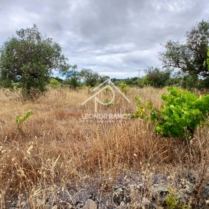Terreno para Venda em Escalos de Baixo e Mata Foto 13