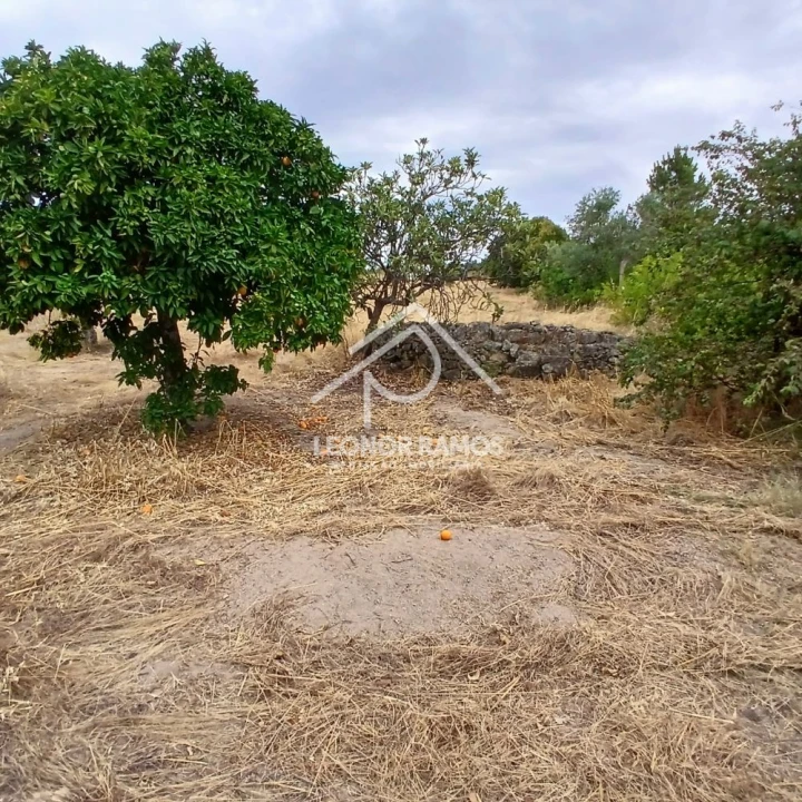 Terreno para Venda em Escalos de Baixo e Mata Foto 7