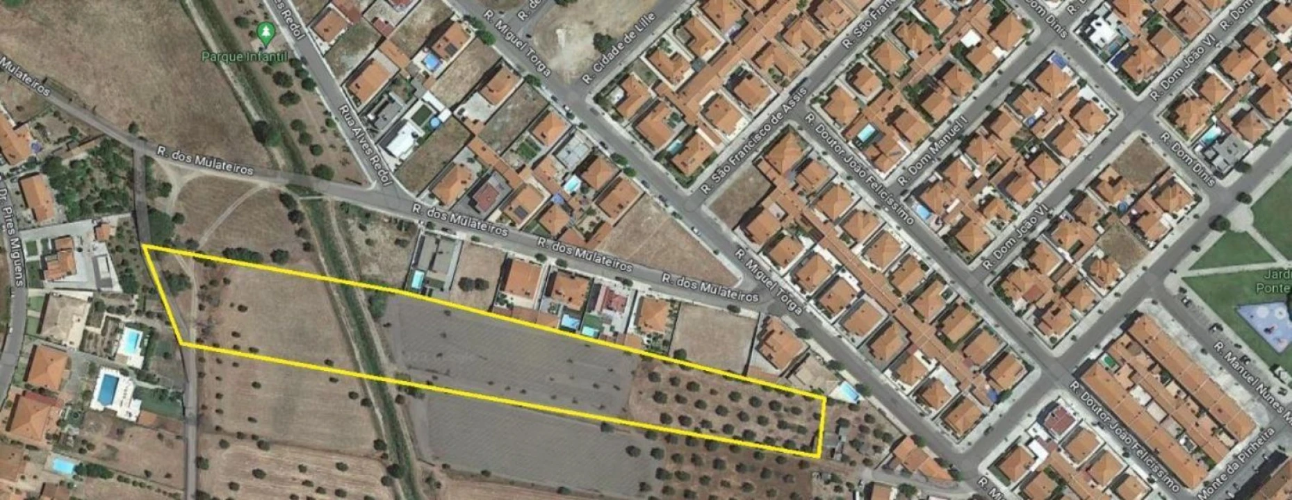 Terreno para Venda em Ponte de Sor, Tramaga e Vale de Açor Foto 1