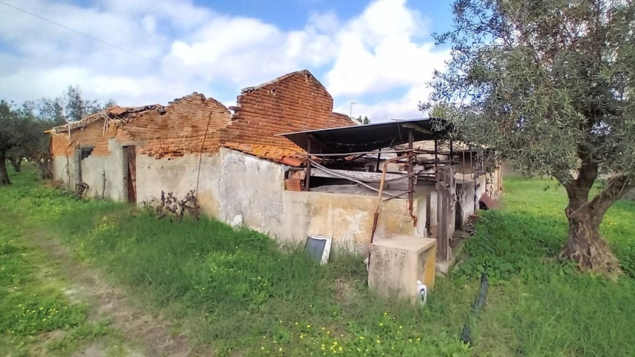 Terreno para Venda em Ponte de Sor, Tramaga e Vale de Açor Foto 2