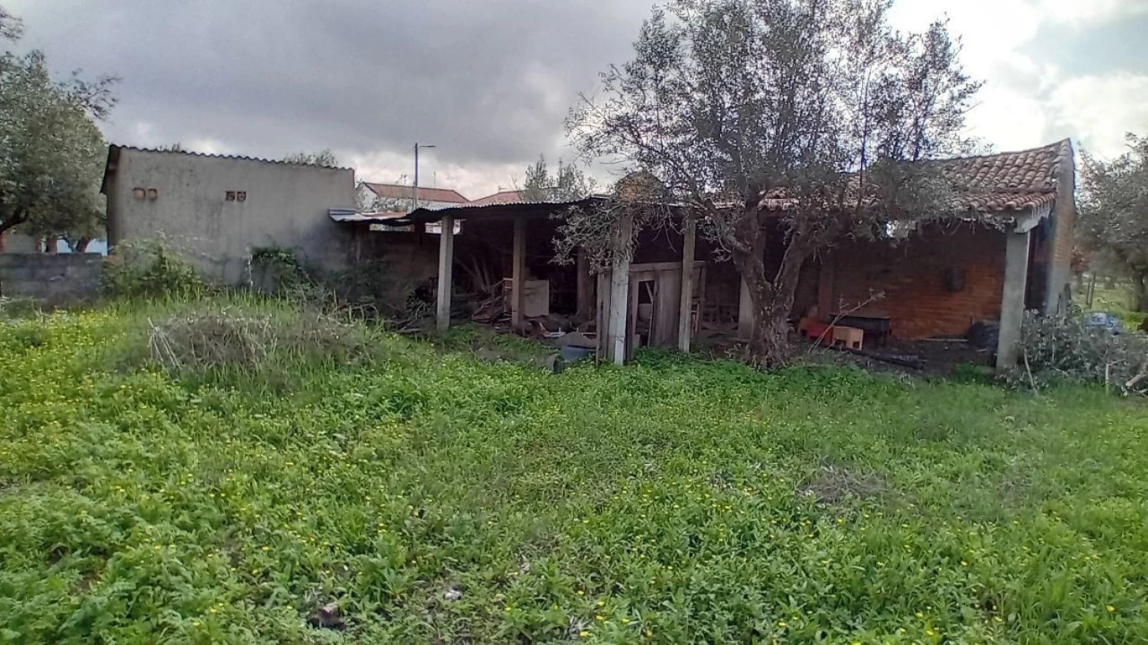 Terreno para Venda em Ponte de Sor, Tramaga e Vale de Açor Foto 6