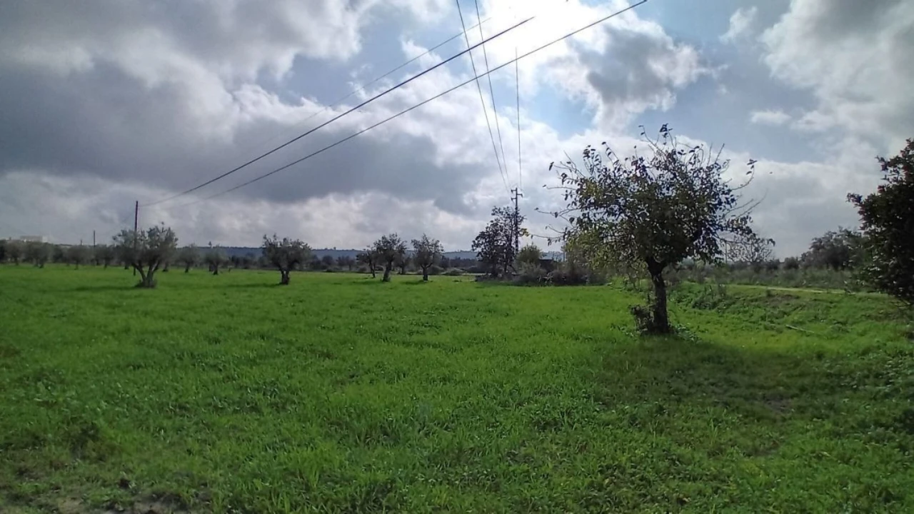 Terreno para Venda em Ponte de Sor, Tramaga e Vale de Açor Foto 13