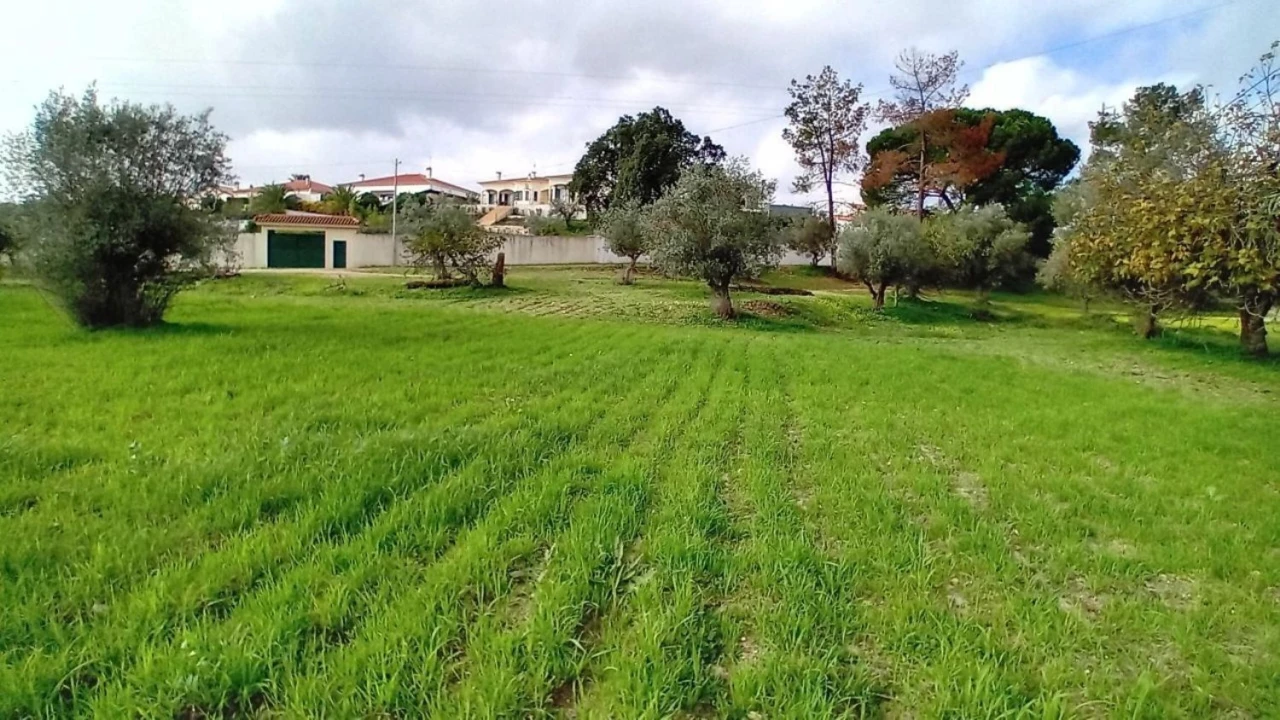 Terreno para Venda em Ponte de Sor, Tramaga e Vale de Açor Foto 16