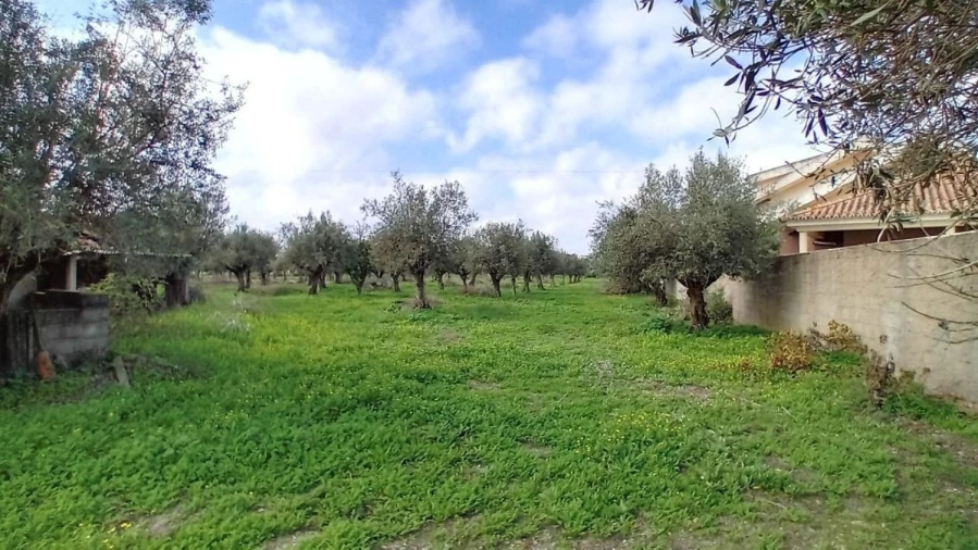 Terreno para Venda em Ponte de Sor, Tramaga e Vale de Açor Foto 5