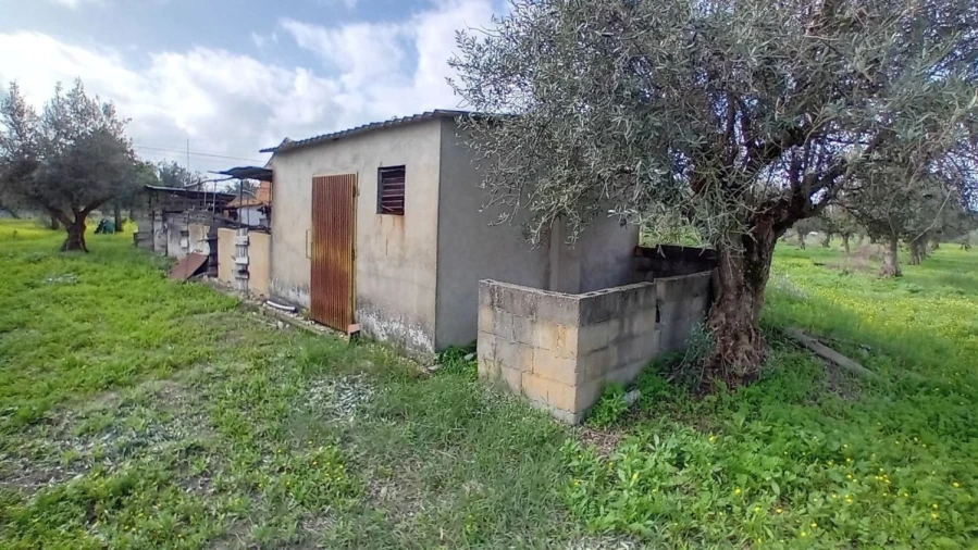 Terreno para Venda em Ponte de Sor, Tramaga e Vale de Açor Foto 4