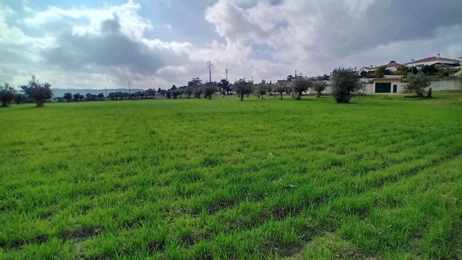 Terreno para Venda em Ponte de Sor, Tramaga e Vale de Açor Foto 14