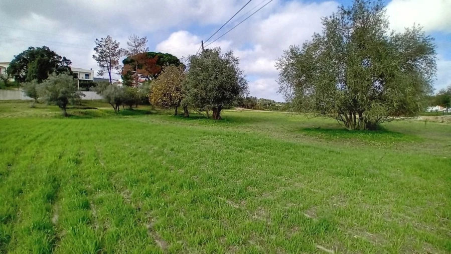 Terreno para Venda em Ponte de Sor, Tramaga e Vale de Açor Foto 15