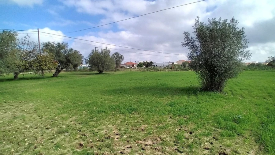 Terreno para Venda em Ponte de Sor, Tramaga e Vale de Açor Foto 17