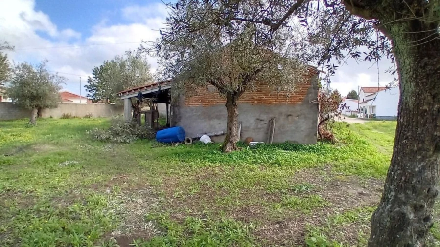 Terreno para Venda em Ponte de Sor, Tramaga e Vale de Açor Foto 8
