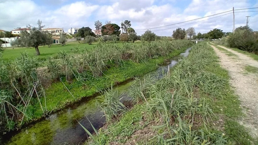 Terreno para Venda em Ponte de Sor, Tramaga e Vale de Açor Foto 12