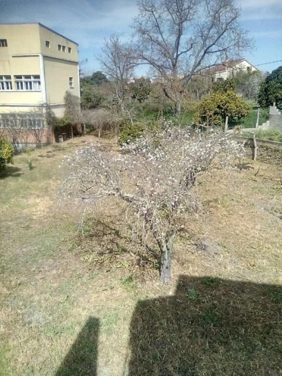 Moradia T6 para Venda em Abrantes (São Vicente e São João) e Alferrarede Foto 4