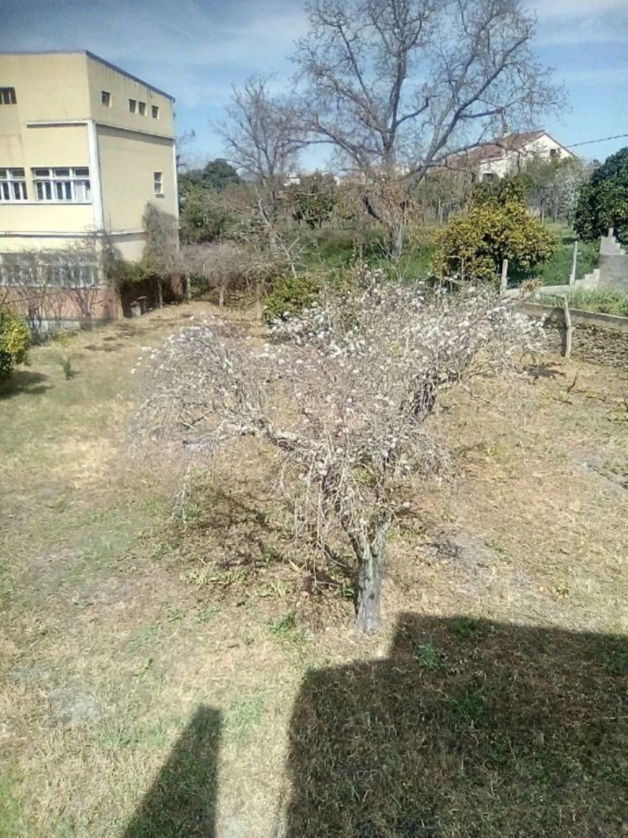 Moradia T6 para Venda em Abrantes (São Vicente e São João) e Alferrarede Foto 4