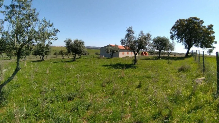 Terreno para Venda em Seda Foto 3