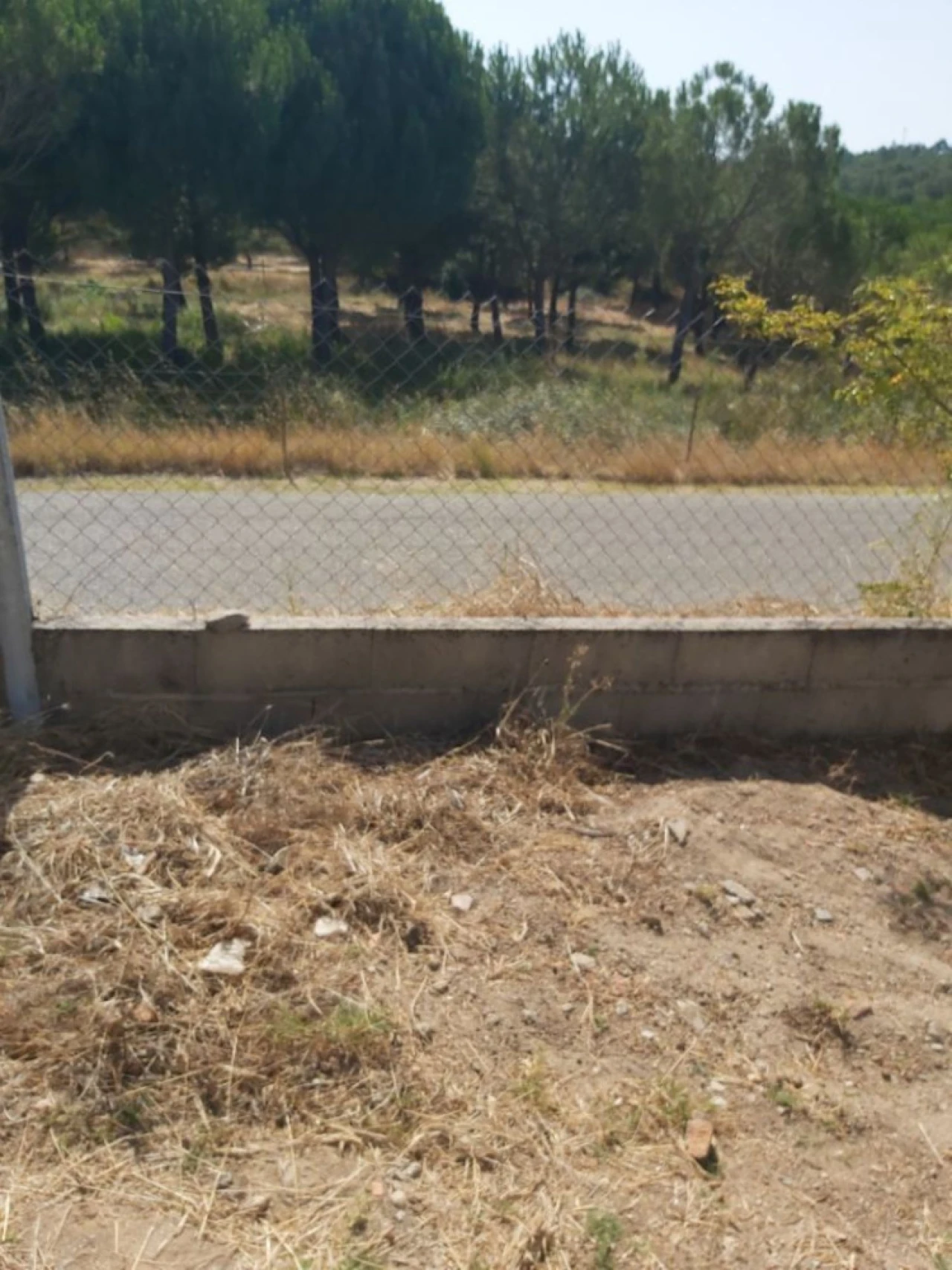 Quinta T5 para Venda em Ponte de Sor, Tramaga e Vale de Açor Foto 16