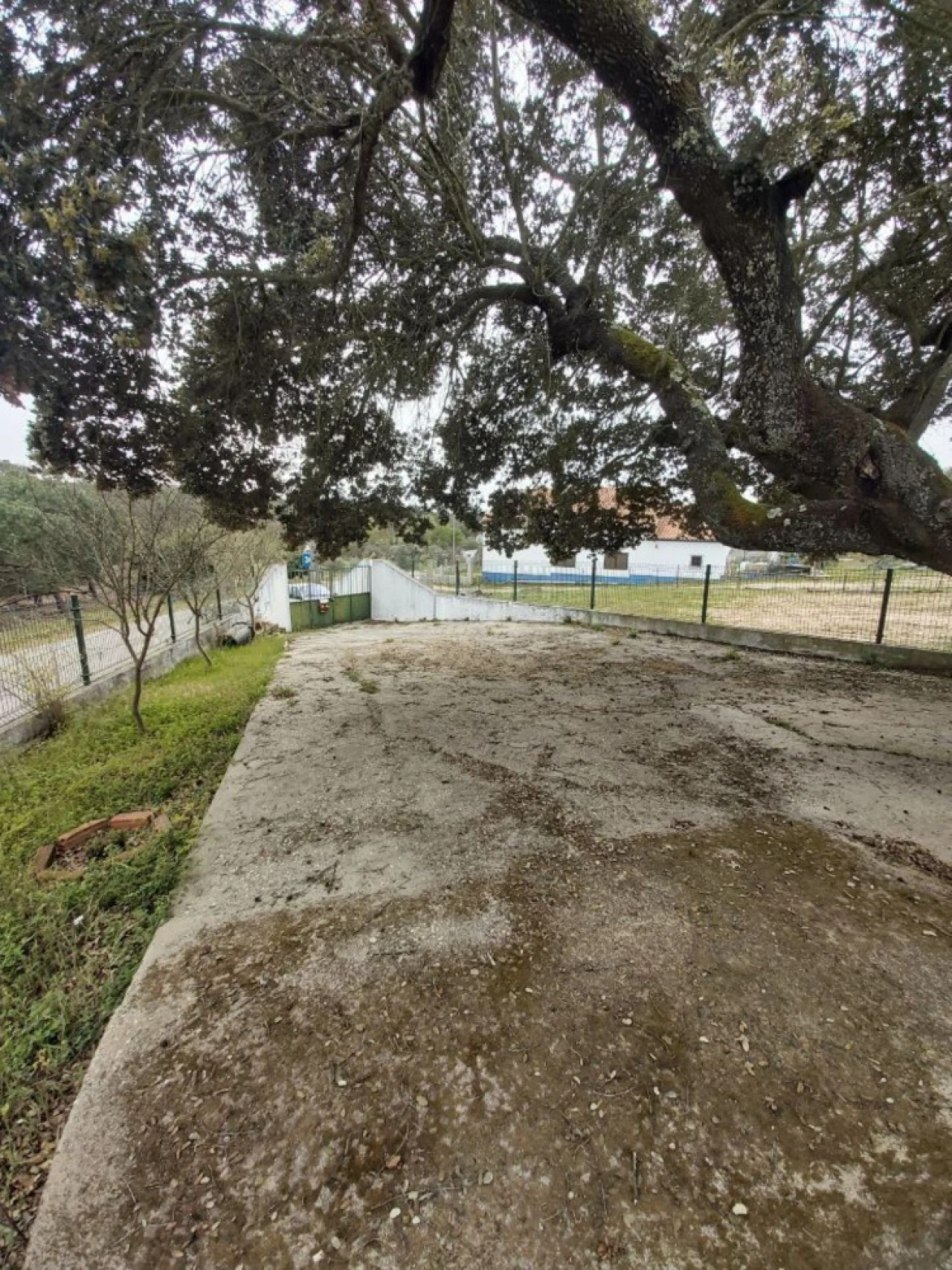 Quinta T5 para Venda em Ponte de Sor, Tramaga e Vale de Açor Foto 17