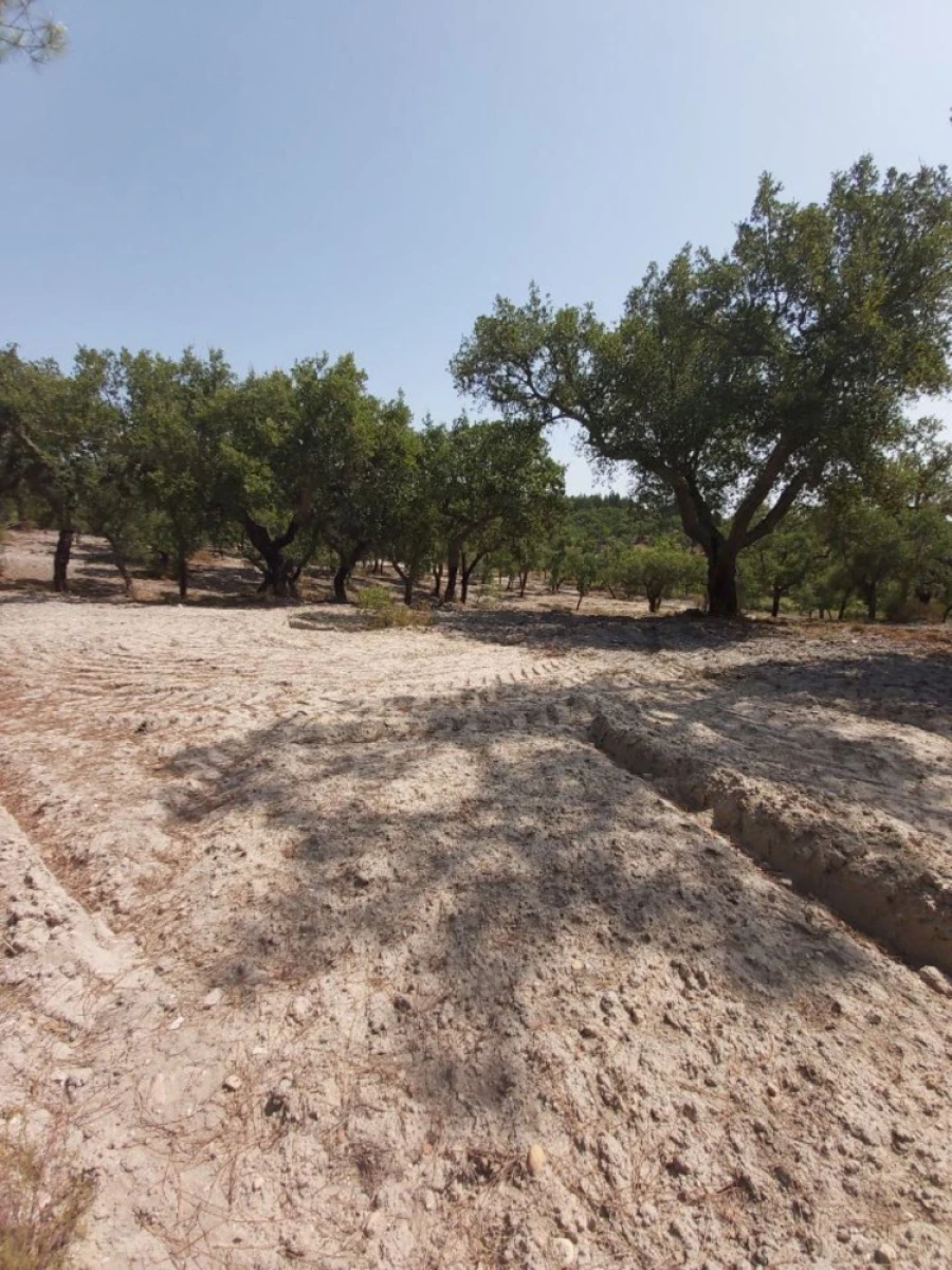 Quinta T5 para Venda em Ponte de Sor, Tramaga e Vale de Açor Foto 3