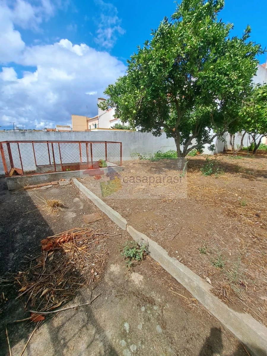 Moradia T4 para Venda em Montargil Foto 2