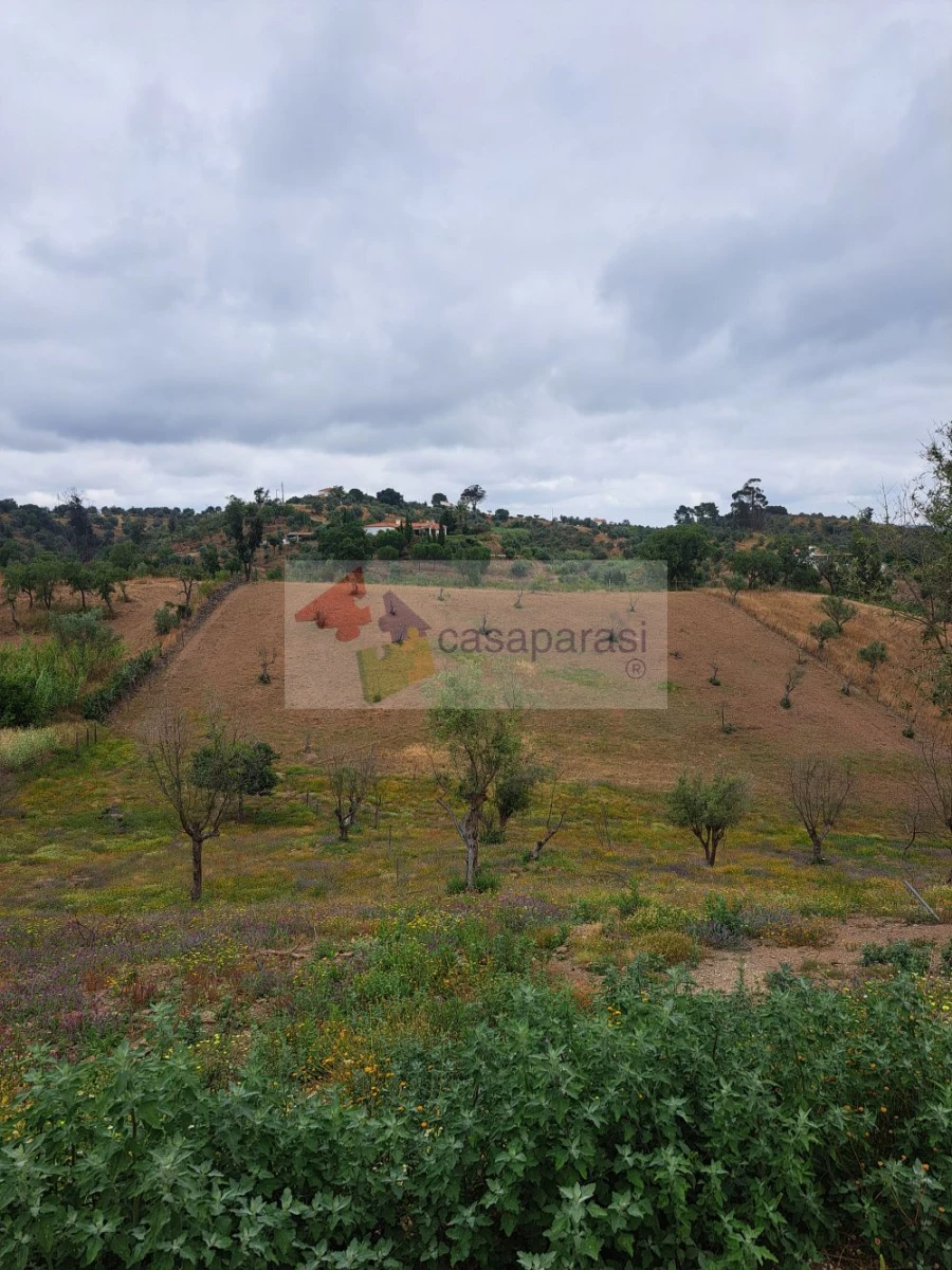 Moradia T3 para Venda em Montargil Foto 4