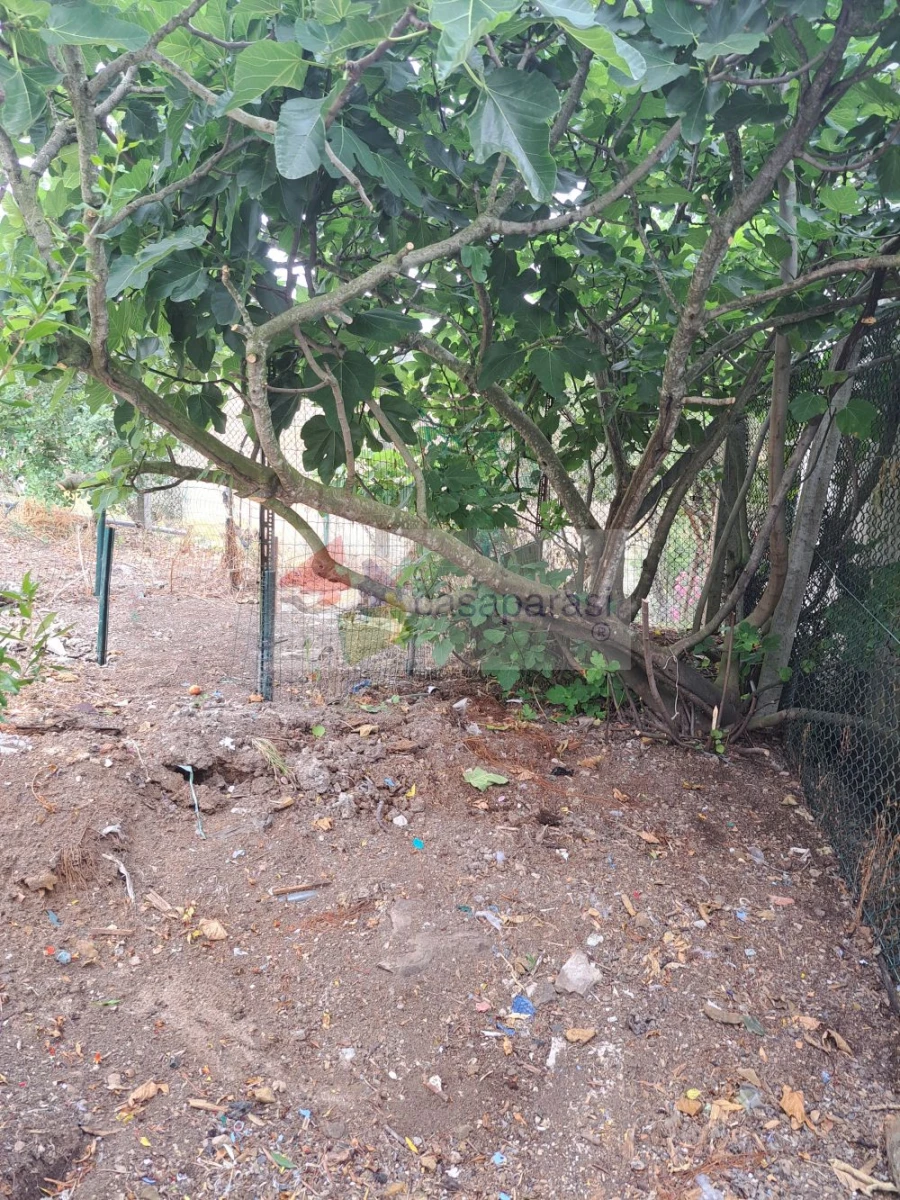 Moradia T3 para Venda em Montargil Foto 17