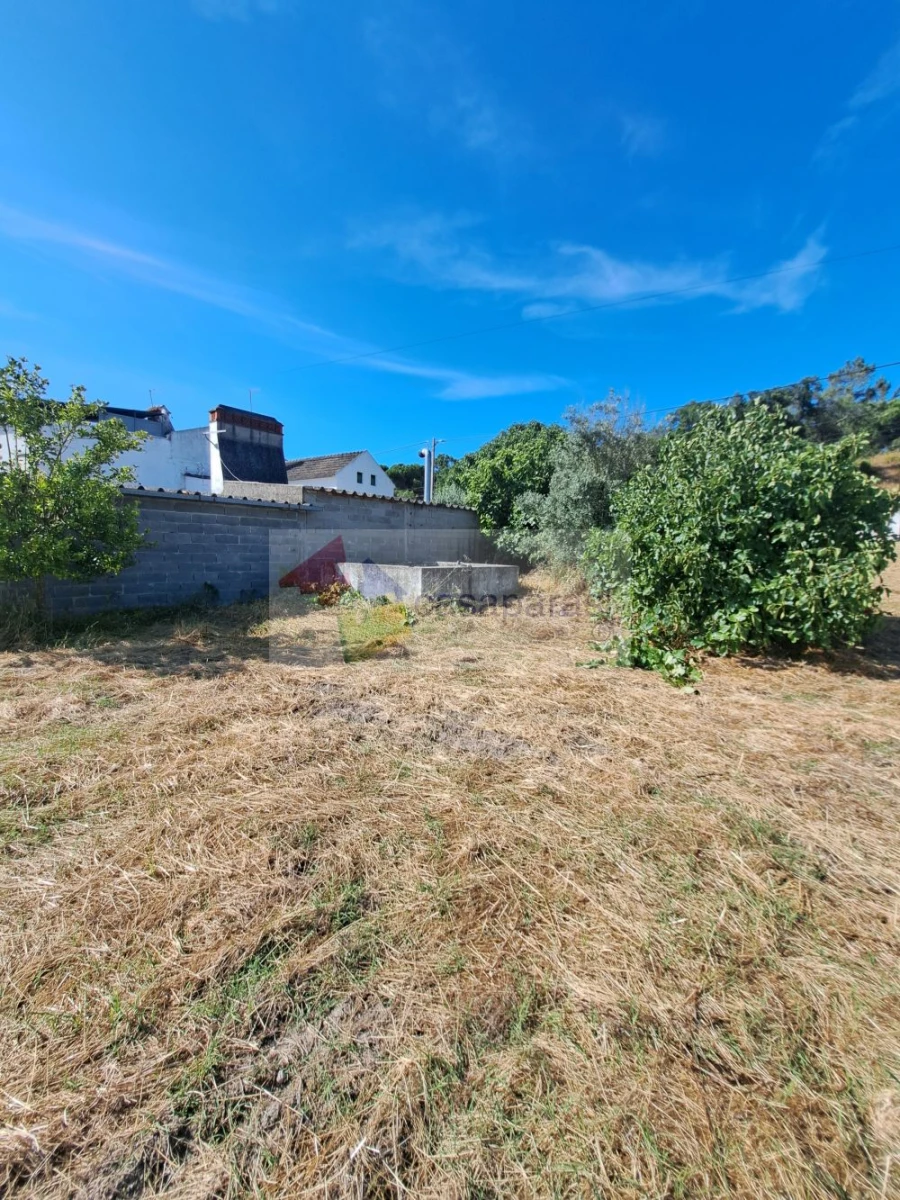 Quinta T3 para Venda em Ponte de Sor, Tramaga e Vale de Açor Foto 3