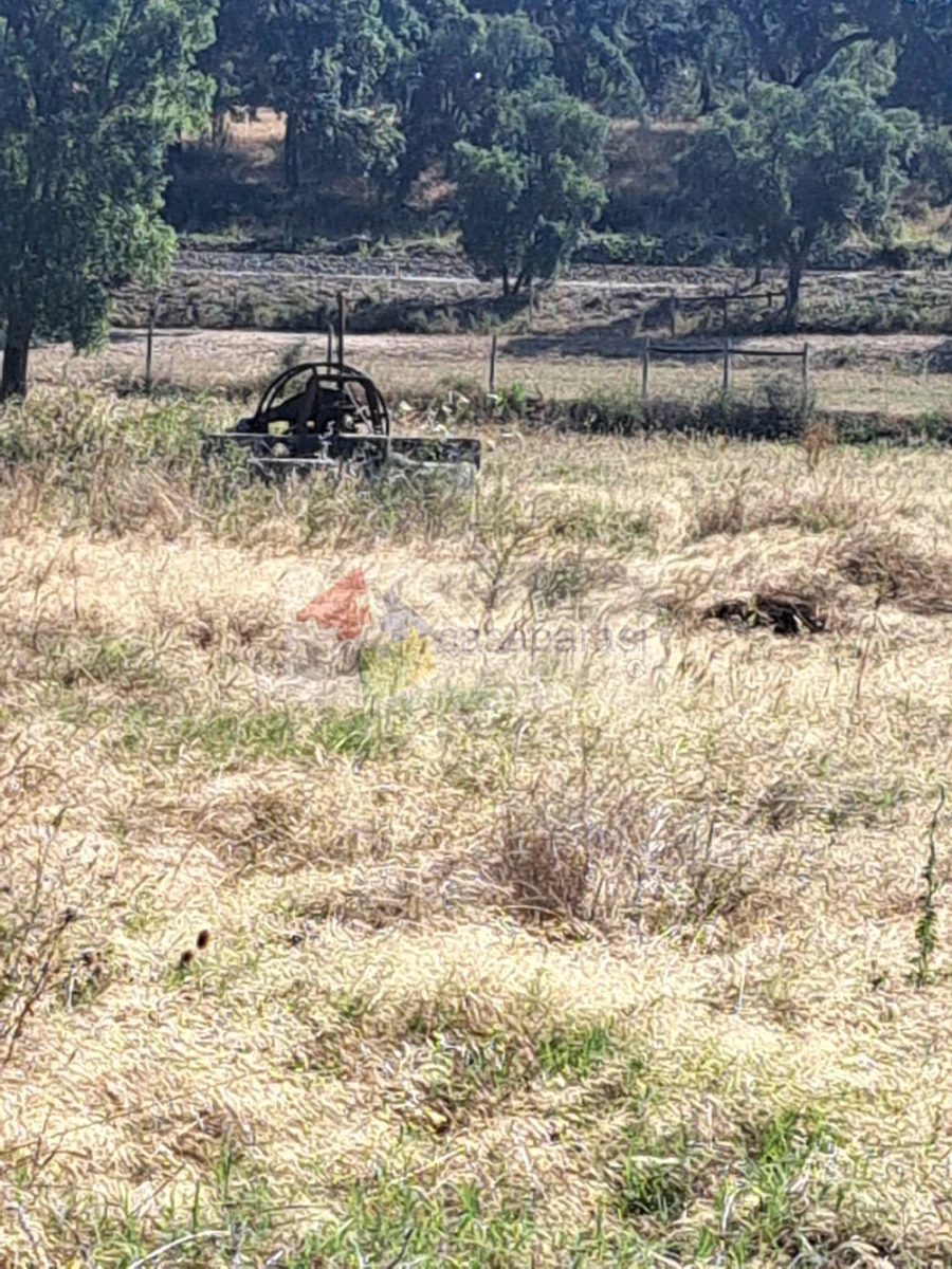 Quinta T3 para Venda em Ponte de Sor, Tramaga e Vale de Açor Foto 9