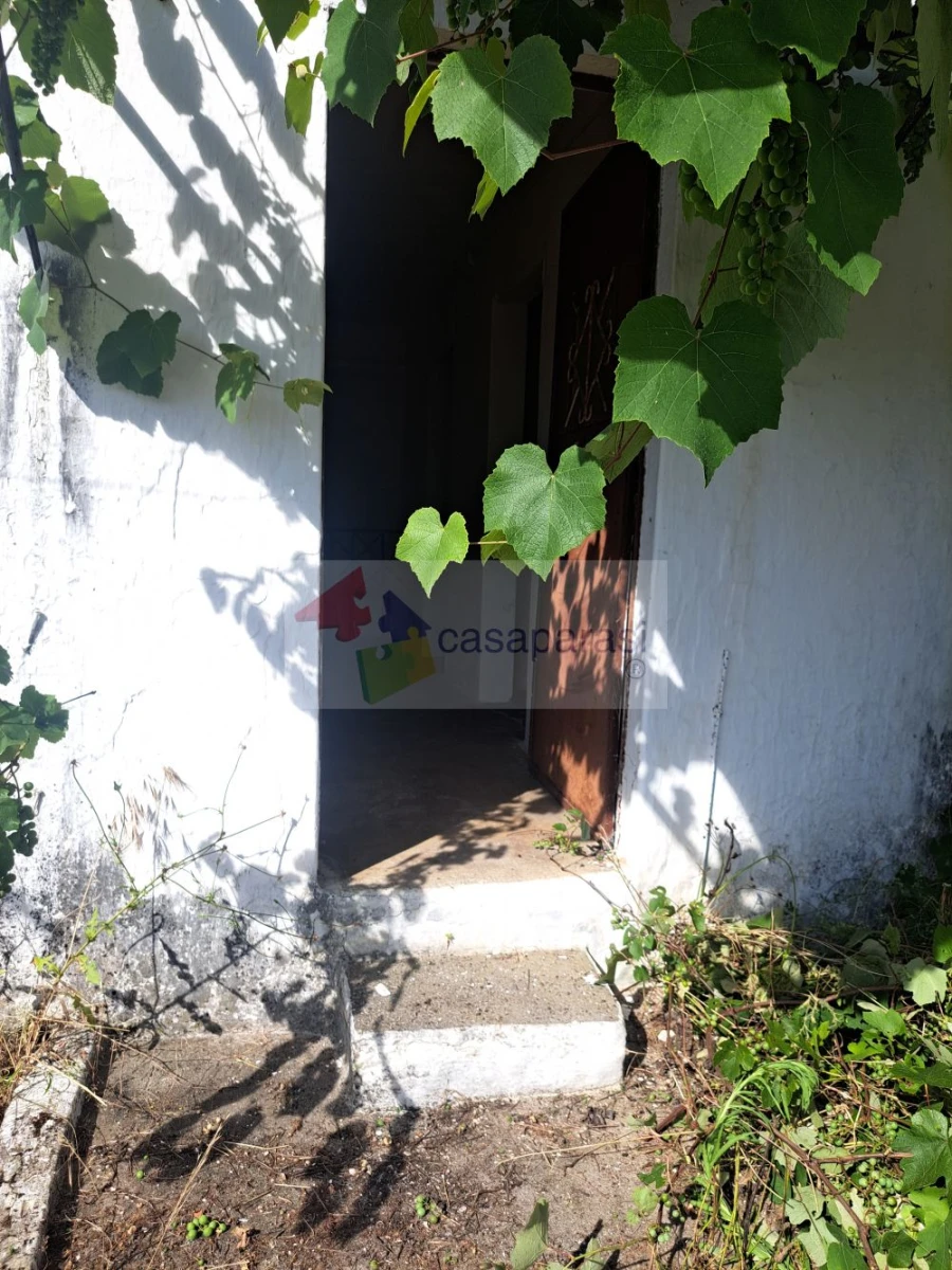 Quinta T3 para Venda em Ponte de Sor, Tramaga e Vale de Açor Foto 10